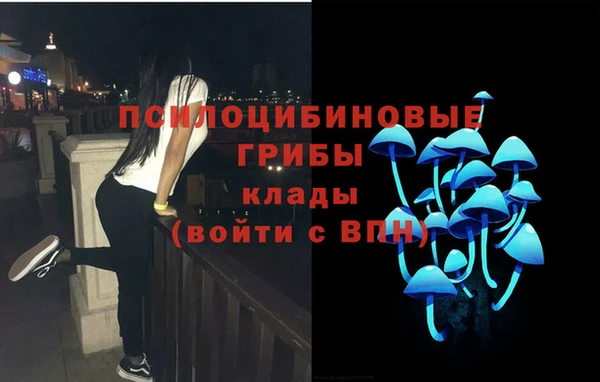 эйфоретик Горняк