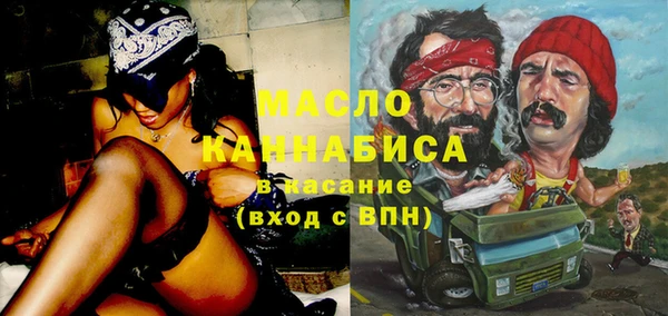 дмт Новозыбков