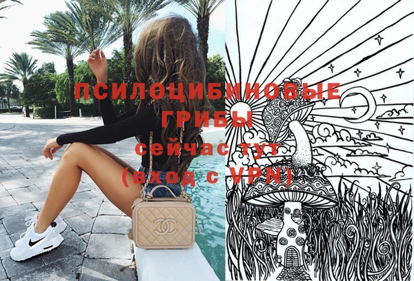 стаф Нея