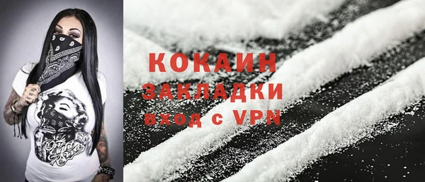 дмт Новозыбков