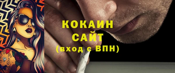 дмт Новозыбков
